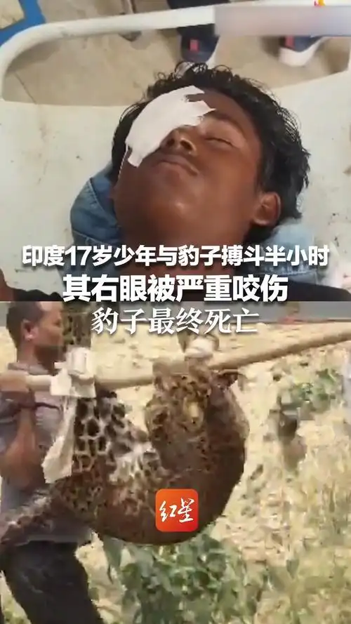 印度少年徒手杀豹启示：中超后卫竟靠这套秘籍防爆巴西前锋